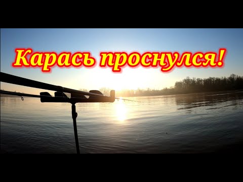 Видео: Карась на фидер. Рыбалка на Кубани
