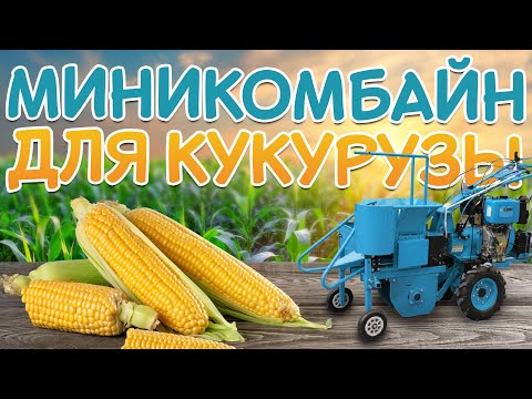 Видео: Миникомбайн для КУКУРУЗЫ | ищем ПОПУЛЯРНЫЙ и доступный