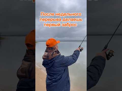 Видео: Когда вы делали заброс последний раз? #fishing #рыбалка #belarus