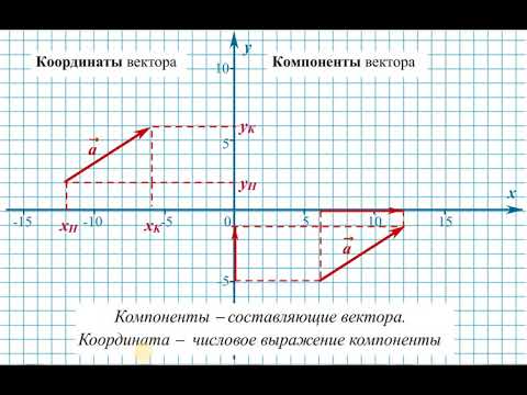 Видео: Обозначение координат