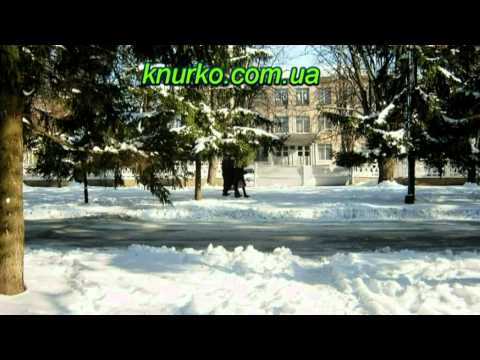 Видео: Ингулец зимой