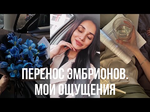 Видео: Перенос эмбрионов при ЭКО. Мои ощущения после переноса.