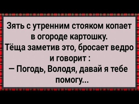 Видео: Как Теща Зятю в Огороде Помогала! Сборник Свежих Анекдотов! Юмор!