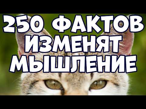 Видео: 250 НЕВЕРОЯТНЫХ ФАКТОВ, КОТОРЫЕ ИЗМЕНЯТ ВАШЕ МЫШЛЕНИЕ