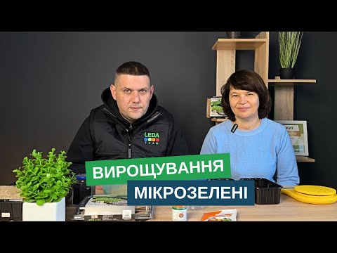 Видео: Зелень цілий рік! Як легко виростити мікрозелень вдома?