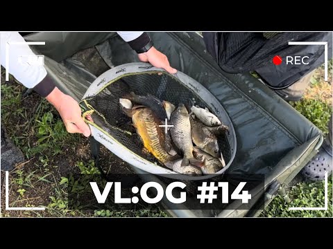 Видео: Рибалка на новому озері "Кінна Долина" | VL:OG №14