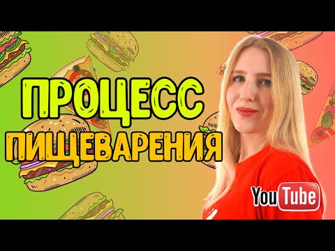 Видео: ПИЩЕВАРЕНИЕ/Роль ферментов в нем