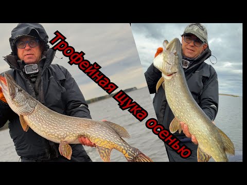 Видео: Монстры щуки на джиг и твичинг. Трофеи осени