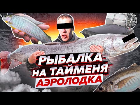 Видео: СУРОВАЯ РЫБАЛКА НА ТАЙМЕНЯ И ХАРИУСА | АЭРОЛОДКА | НОЧЁВКА В ЛЕСУ