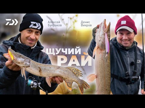 Видео: ЩУЧИЙ РАЙ x Денис Вихров x Алексей Буераков