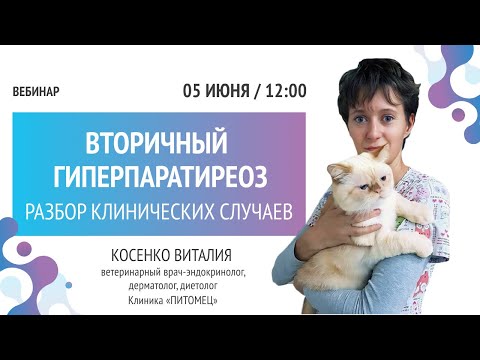 Видео: Разбор клинических случаев вторичного гиперпаратиреоз из практики ветеринарного врача