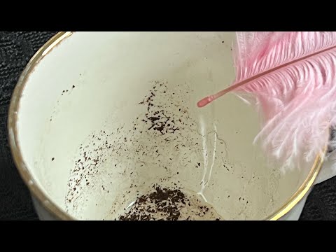 Видео: Что было что есть что будет на пороге нового 