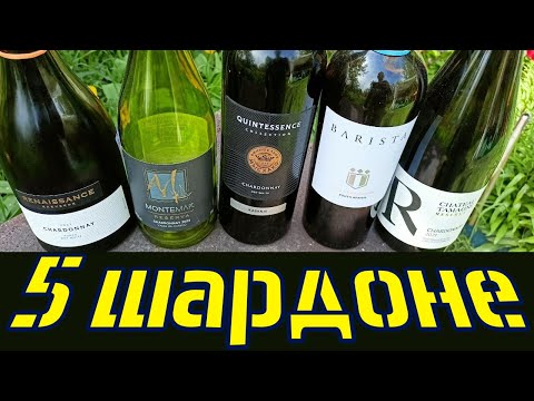 Видео: 5 Шардоне. Сравнение вслепую