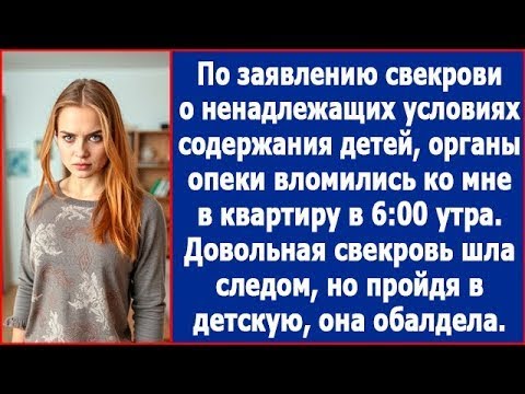 Видео: По заявлению свекрови о ненадлежащих условиях содержания детей органы опеки пришли ко мне в 6:00.
