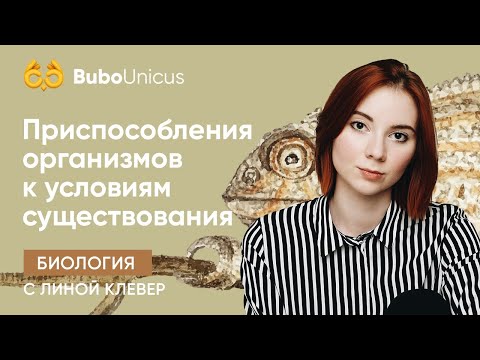 Видео: Приспособления организмов к условиям существования | Биология ЕГЭ | Лина Клевер