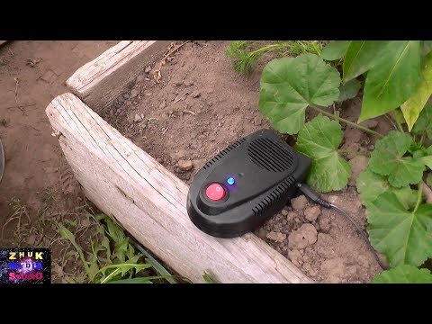 Видео: Электрокот отпугиватель грызунов