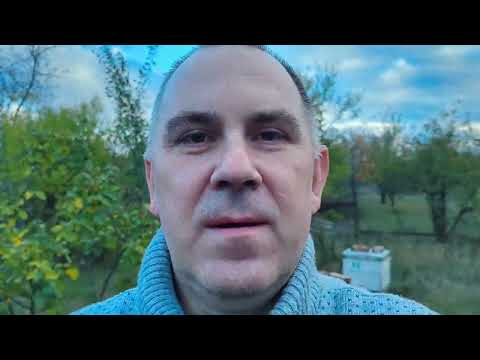 Видео: 25 октября 25 год итоги работы на пасеке. 