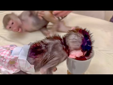 Видео: СМЕХ! Люська в полете МГНОВЕННО сняла памперс со Степашки и забрала у него компот!