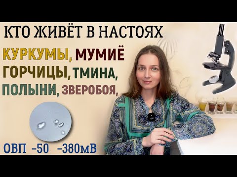 Видео: Настои под микроскопом: горчица, куркума, полынь, пижма, тмин, мумие...