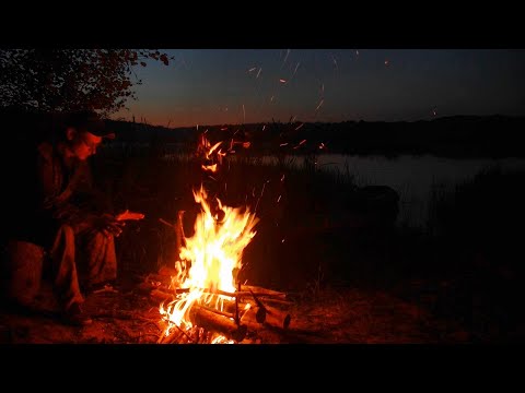 Видео: Рыбалка на озере #435
