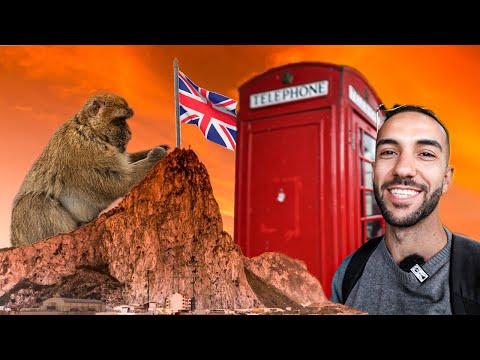 Видео: ОТ ИСПАНИЯ до UK? СРЕЩА С ДИВИ МАЙМУНИ
