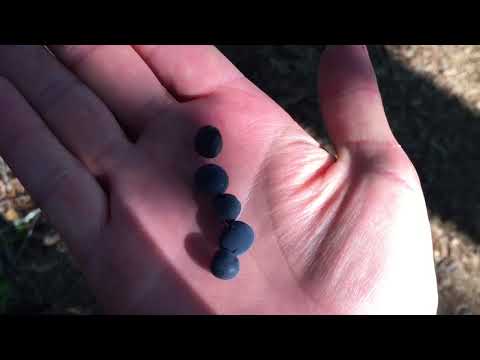 Видео: Озера Финляндии