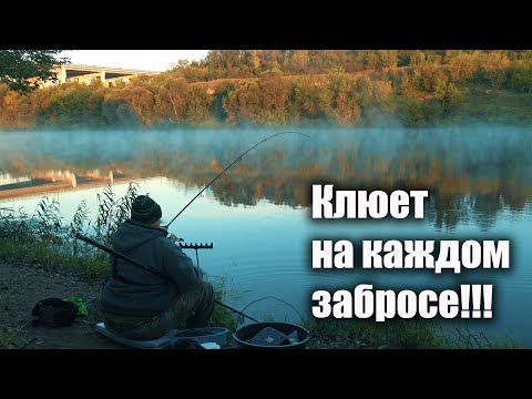 Видео: Осенняя рыбалка: Фидер, туман над рекой и долгожданные поклевки!!!