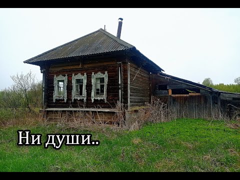 Видео: Заброшенная деревня Стёпинские и Крутовражье, Кировская область. Музей старых самолетов в Ульяновске