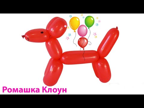 Видео: СОБАЧКА ИЗ ДЛИННОГО ШАРИКА ШДМ как сделать Balloon Animal Dog TUTORIAL uno perrito con globos