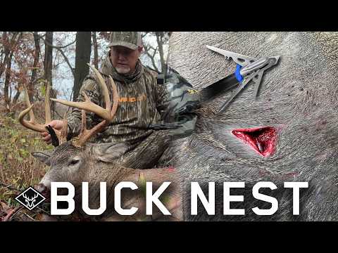 Видео: Вход в «BUCK NEST» | 10-RING Heart Shot...