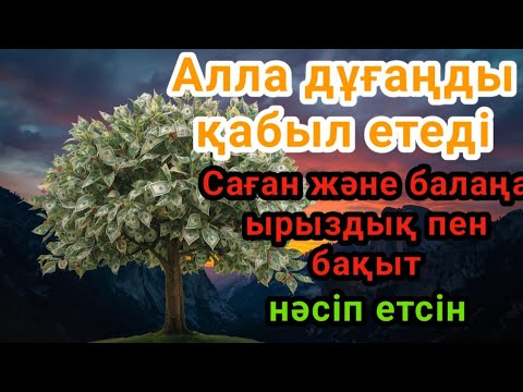 Видео: Алла дұғаңды қабыл етеді. Саған және балаңа ырыздық пен бақыт нәсіп етсін.