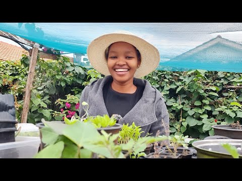 Видео: Как вырастить семена, которые действительно прорастут | Прекрасное начало моего сада.