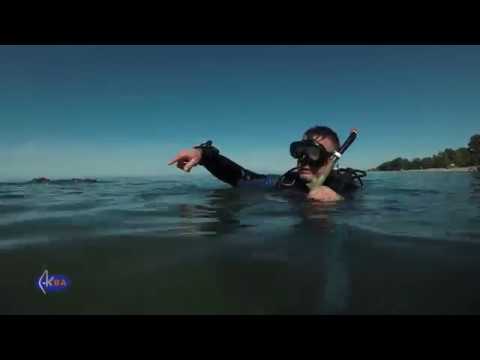Видео: Жизнь Черного моря. Грузия.