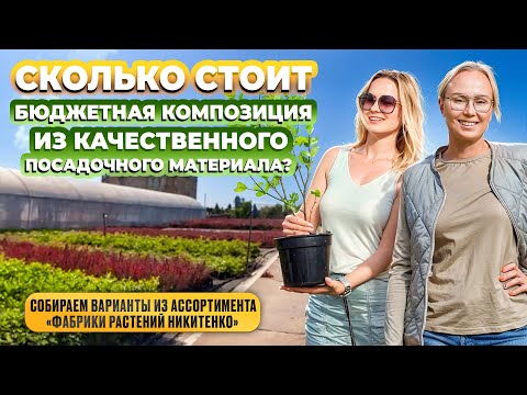 Видео: Сколько стоит бюджетная композиция из качественного посадочного материала.