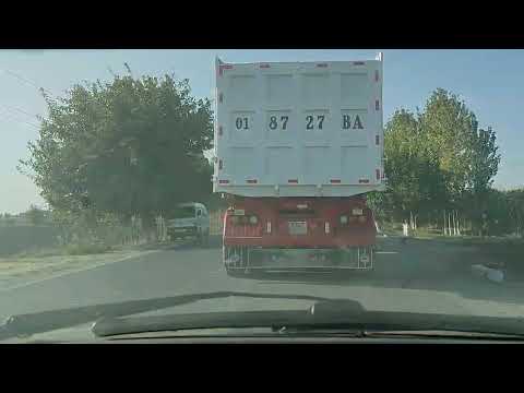 Видео: 19 октября 2025 г.