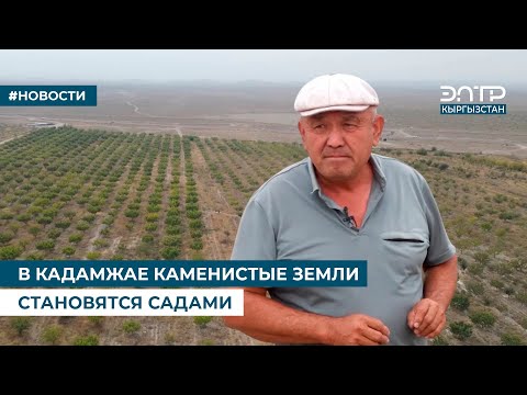 Видео: В КАДАМЖАЕ КАМЕНИСТЫЕ ЗЕМЛИ СТАНОВЯТСЯ САДАМИ
