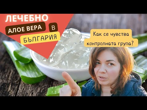 Видео: Как отглеждаме алое вера barbadensis miller в България + Напредъкът по нашия двор 🌱#влог