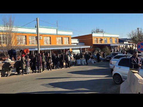 Видео: 12 ноября 2025 ЭЛЛИККАЛА КИРККИЗОБОД ДЕХКОН БОЗОР НАРХЛАР