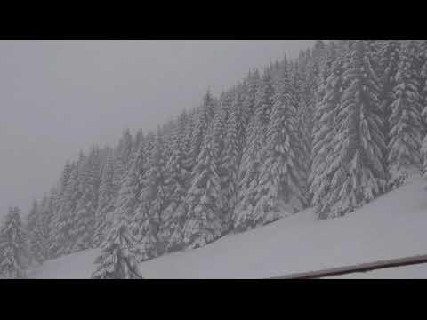 Видео: Звуки метели в горах.Шум арктического ветра,шелест падающего снега для расслабления, спокойного сна.