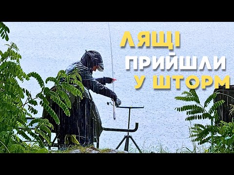 Видео: ВОНИ прийшли у СИЛЬНУ ЗЛИВУ. Деснянські ЛЯЩІ під Києвом на фідер
