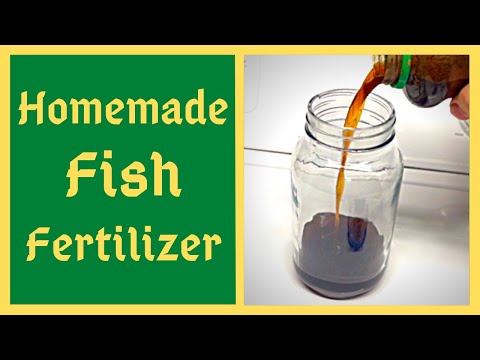 Видео: Домашнее удобрение для рыб — растения от него без ума — JADAM JLF