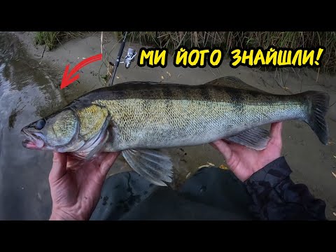 Видео: ЗНАЙШЛИ РИБУ В КОРЧАХ!! Осіння рибалка на Дніпрі