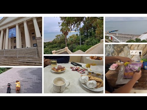 Видео: В СОЧИ СИЛЬНО ПОХОЛОДАЛО/ПЧЕЛОПЕС НА ПРОГУЛКЕ/ГОСТИНЦЫ ИЗ НОВОСИБИРСКА/У РОДИТЕЛЕЙ В ГОСТЯХ