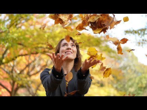 Видео: Листопад Deep House Remix | Chornobass