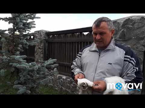 Видео: Стирка, сушка, разбивка меха.(часть 4, финал)