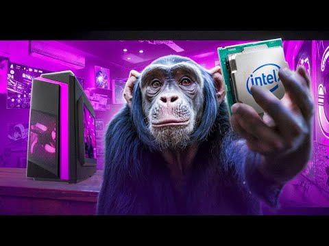 Видео: ГОРЕ СБОРЩИКИ #8 / Тимур Спец