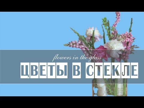 Видео: ЦВЕТЫ В СТЕКЛЕ // ФЛОРИСТИКА //