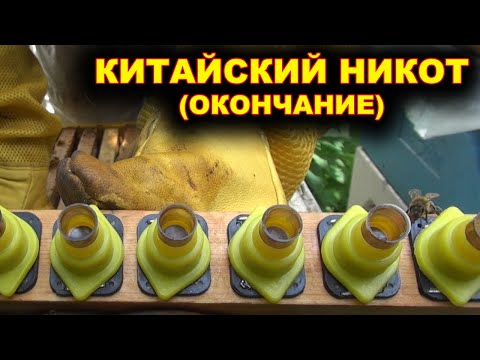 Видео: Китайский НИКОТ. (окончание).