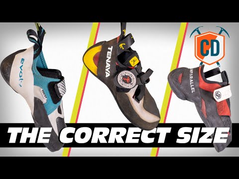 Видео: Размеры скальных туфель Evolv, Tenaya и Unparallel | Climbing Daily, выпуск 1792