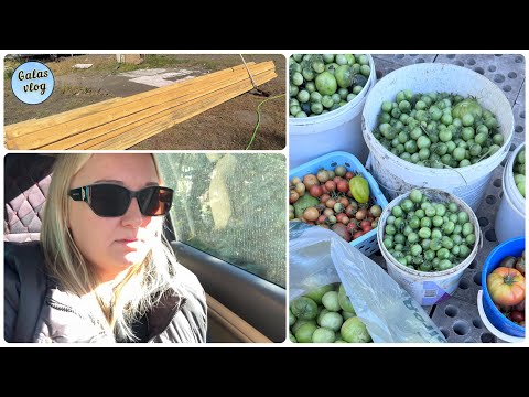 Видео: VLOG💚 МЫ ПЕРЕЕХАЛИ СРОЧНО😳